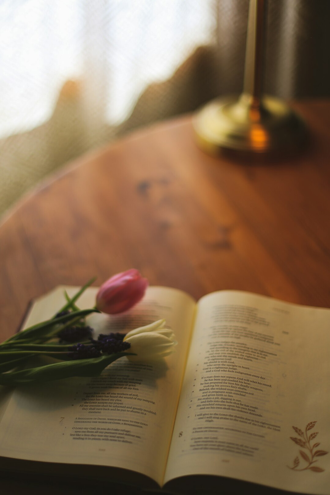 Open book lying on a wooden table in soft light